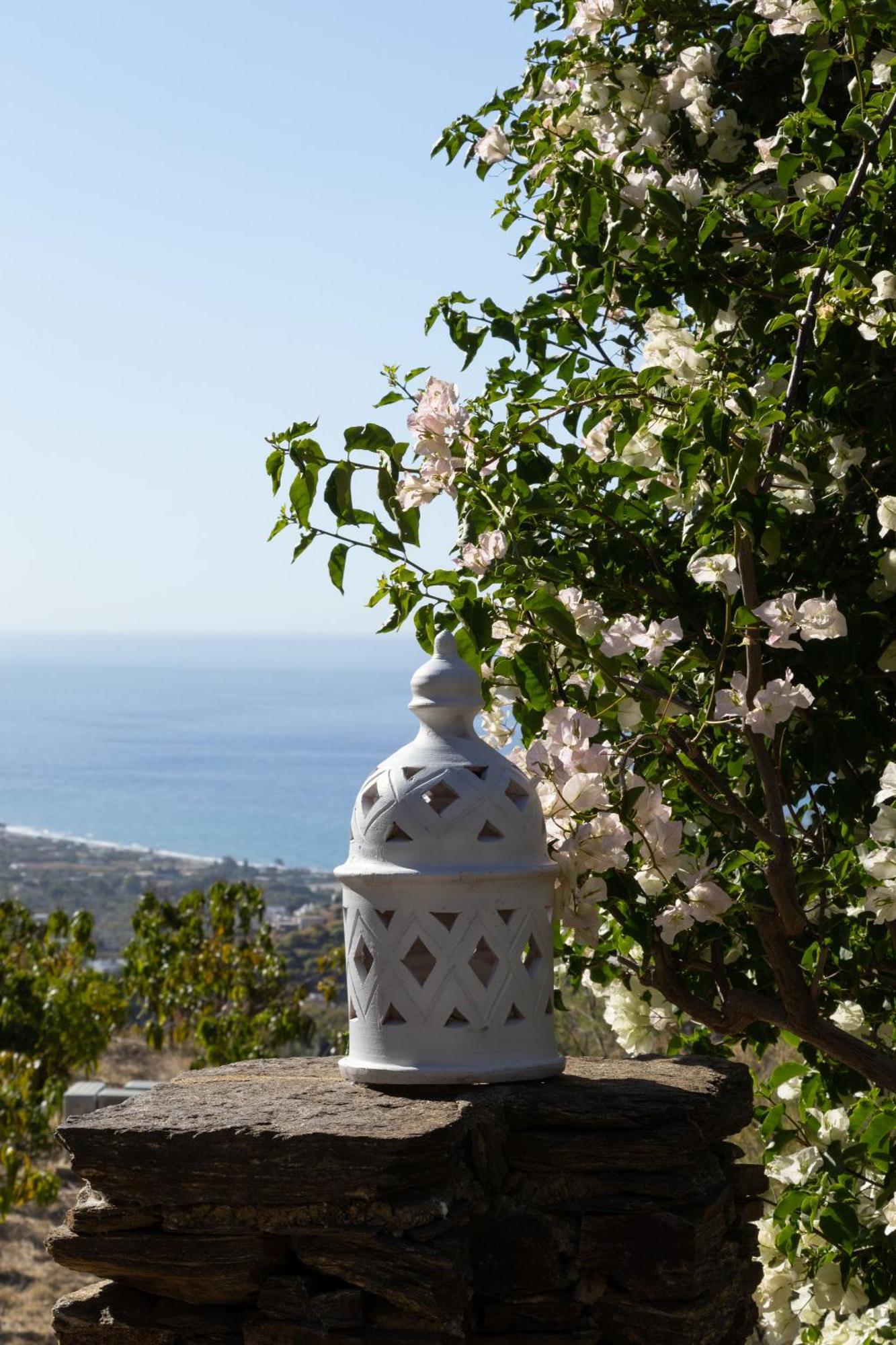 La Casa Del Burro Bed & Breakfast Nerja Exterior photo